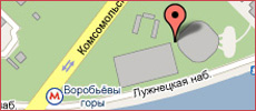 Площадка с макетами автомобилей вСК «Лужники»